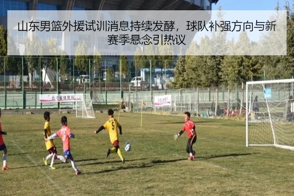 山东男篮外援试训消息持续发酵，球队补强方向与新赛季悬念引热议